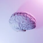 The American Academy of Pediatrics Didn’t Solve Addiction