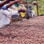 2025 Global Innovation Lab for Climate Finance Impact Report