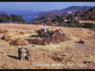 MAGNIFICENT GREECE 16