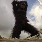 Only 3 Sci-Fi Movies Are Better Than ‘2001: A Space Odyssey’