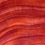 Jakarri Hamlin named a 2026 “Banking & Finance Visionary” by LA Times Studios | News