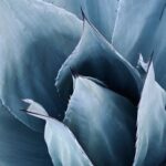 Recognized as a “Woman in Secured Finance” | News