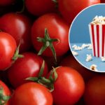 Scientists Have Done The Unthinkable And Made Tomatoes Smell Like Popcorn