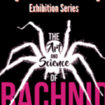 The Art and Science of Arachnids