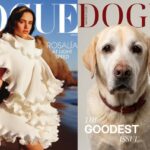 Vogue vs Dogue: Fashion giant takes dog magazine to court