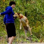 Near-Perfect 2000s Movies That No One Remembers Today