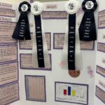 Oasis Academy Science Fair Awards