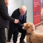 Greece Succesfully Repatriates 101 Greeks and 45 Pets From UAE