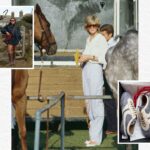 Are Hobbies the New Accessories?