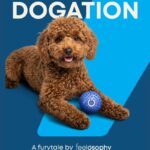 ευΖΗΝ feelόsophy Introduces Pet-Friendly Travel Experiences in Greece