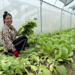 Macquarie bets impact investing can fill an Asian financial access gap for the ‘missing middle’