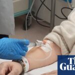 Woman with three deadly diseases has ‘remarkable’ recovery after cell therapy | Immunology