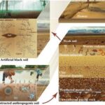 Rapid ‘terraforming’ technology transforms degraded land into fertile soil