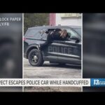 Michigan woman who escaped from police car while handcuffed still at large