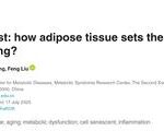 Life Medicine | Proffessor Feng Liu’s team proposes adipose tissue as an early driver of systemic aging