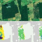 Faster Detection of Forest Loss