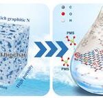 Scientists engineer smarter biochar to boost wastewater cleanup efficiency