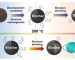 Scientists uncover how phosphoric acid reshapes hidden free radicals in biochar