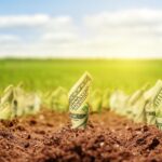 Here’s Why Buying This Vanguard Index Fund Today Could Be the Best Financial Decision You Ever Make