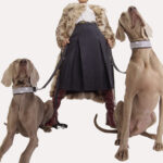 Céline Dion Goes For A Walk