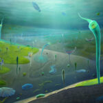 Newly discovered fossils give scientists first look at the evolution of early complex animals