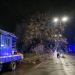 Storm Erminio Batters Greece, Leaves One Dead Amid Widespread Destruction Greek City Times
