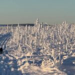 Alaska Science Forum: Time to hit the trail westward