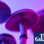 The best recent science fiction, fantasy and horror – review roundup | Science fiction books