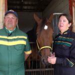 Hawkinsville Harness Festival returns with horse racing, live music, and family fun