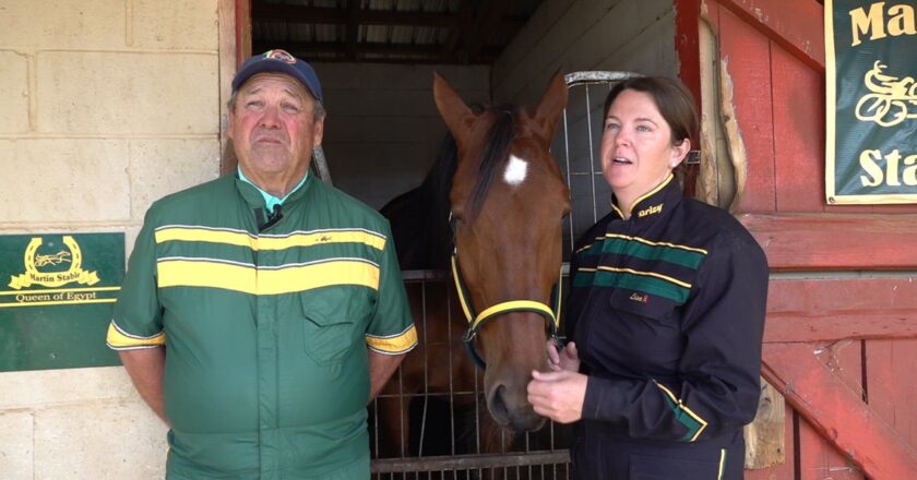 Hawkinsville Harness Festival returns with horse racing, live music, and family fun