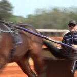 ‘Pretty exciting sport’ | Hawkinsville Harness Festival returns with horse racing, live music, and family fun