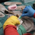 A nonprofit in France is fighting fast-fashion waste, one sneaker at a time | Living