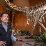 New Mexico Museum of Natural History and Science to reopen after monthslong revamp | Local News