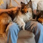 James T. ‘Jim’ Greece | Obituaries