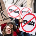 Vegan Fashion’s Selective Morality | The Voice Of Fashion