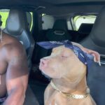 @loveandnazofficial            …