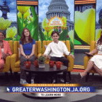 Junior Achievement brings Finance Park financial literacy to Fairfax eighth graders