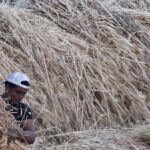 The next hot trade is starting to challenge stocks: Chart of the Day