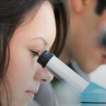 Bayer Hawaiʻi Life Sciences Scholarship application deadline extended to April 30 : Maui Now