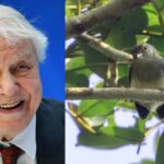 6 famous people with animals named in their honor