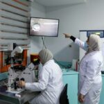 New award to help researchers catalyse AI-driven discovery for the public good