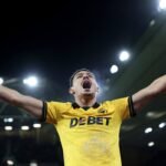 Wolves are going down. But they will still have a significant say in who joins them in the Championship