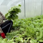 Macquarie bets impact investing can fill an Asian finance gap