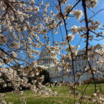 Bilateral Relations – Greece in the USA