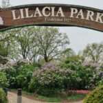 Springtime festivals celebrate music, art, history in northern Illinois – Shaw Local