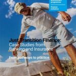 Case studies from banking and insurance – United Nations Environment – Finance Initiative