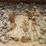 Entire lower-class families were sacrificed to honor local royalty 1,500 years ago in Korea, DNA analysis reveals