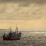 High Seas Treaty must stop the lobbyists and bring the science