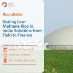 Scaling Low-Methane Rice in India: Solutions from Field to Finance