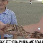 Dauphin Island Sea Lab hosts Discovery Day open house